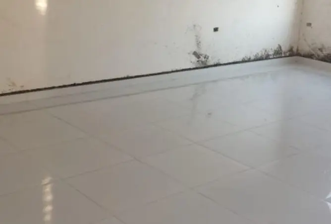69836080 - صورة العقار 3
