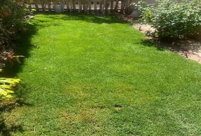 70627526 - Property Main Image