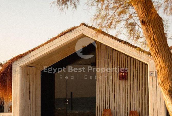 77328109 - Property Image 3