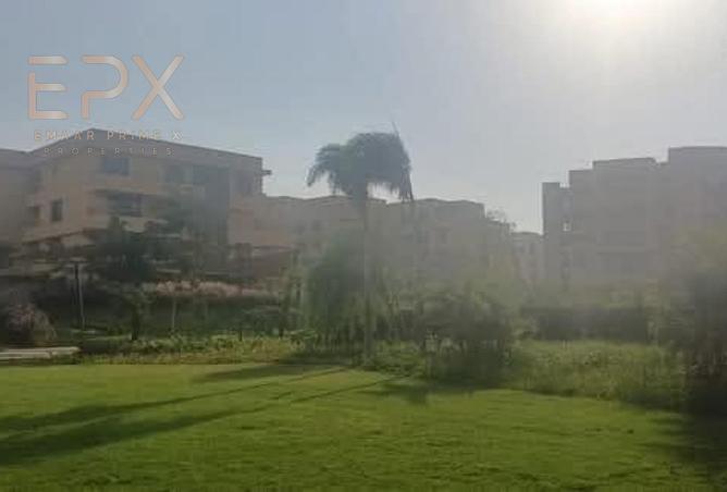 94371662 - صورة العقار 3