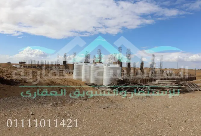 113825004 - صورة العقار 3