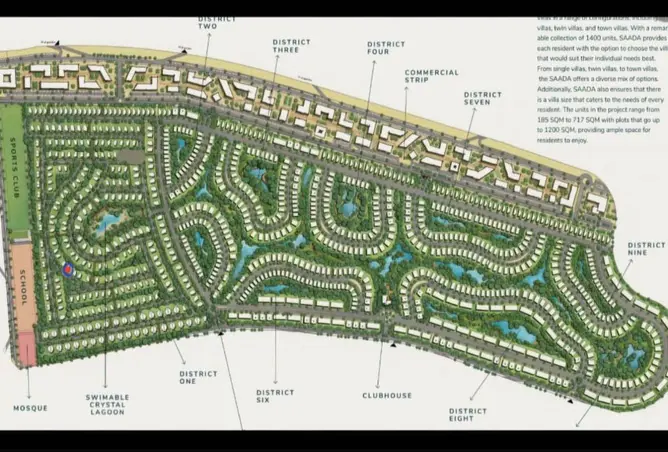 116499281 - Property Image 3