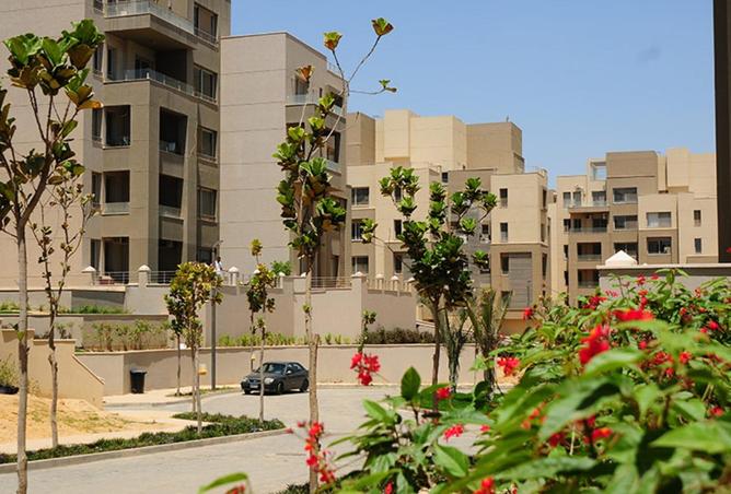 65661142 - الصورة الرئيسية للعقار