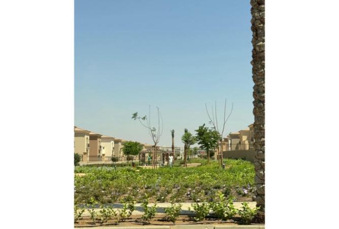 55511605 - Property Image 2