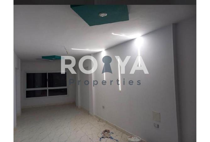 87831108 - Property Image 3