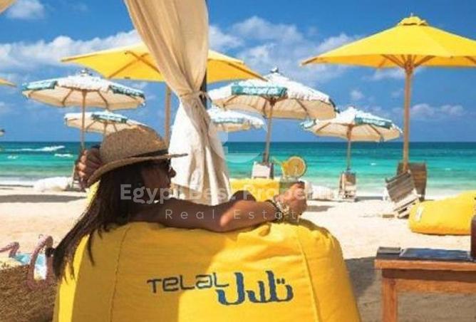 8687788 - Property Image 3