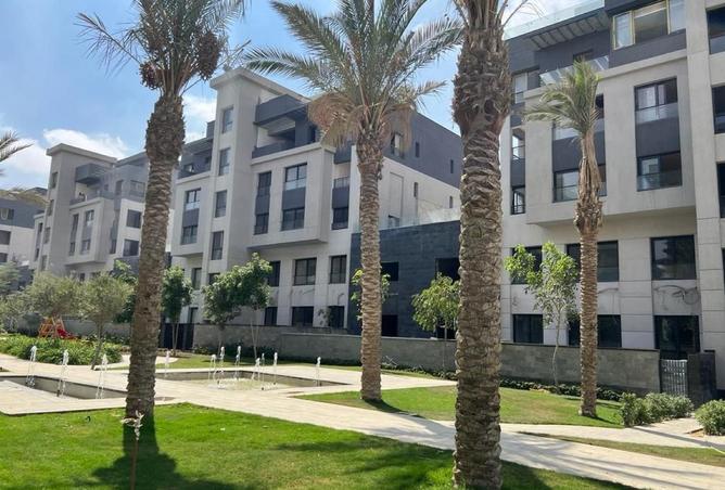 65159849 - صورة العقار 3