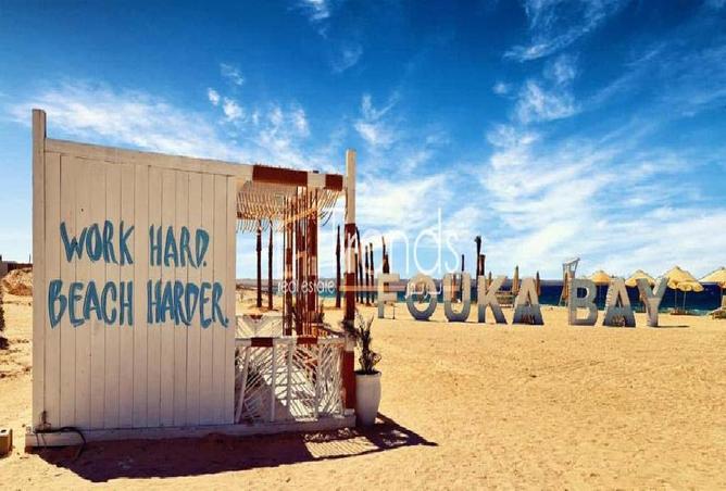 67997745 - Property Image 3