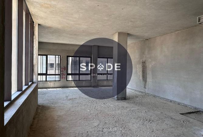 55511900 - Property Image 3