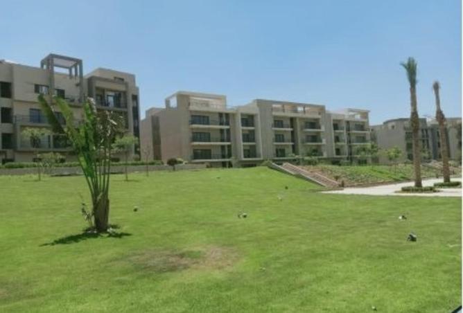 77329160 - Property Image 3