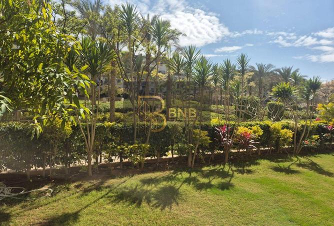 62170049 - صورة العقار 3