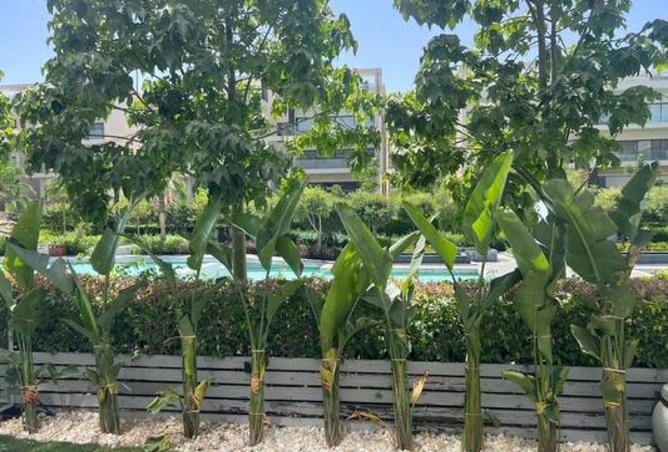 8459398 - Property Image 2