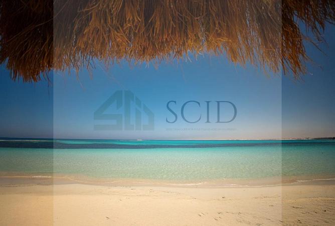 99811641 - صورة العقار 2
