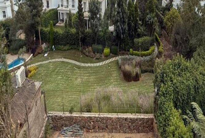 68519962 - صورة العقار 2