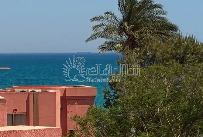 114628774 - صورة العقار 3