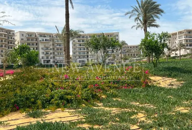 111876706 - Property Image 2