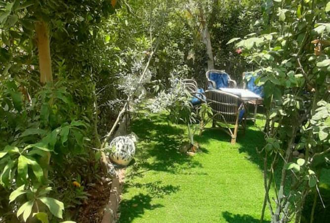 70354888 - Property Main Image