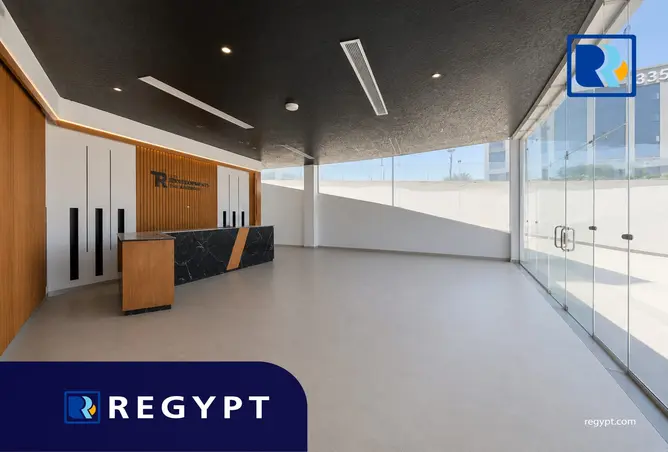 117264512 - Property Image 3