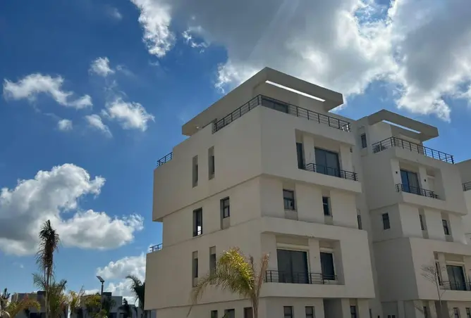 75406679 - صورة العقار 2
