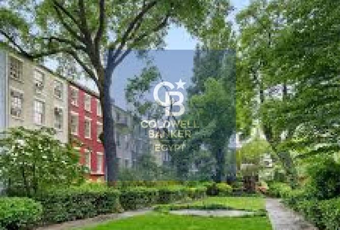 52969971 - صورة العقار 2