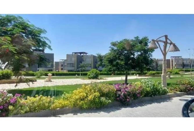 8653247 - صورة العقار 3