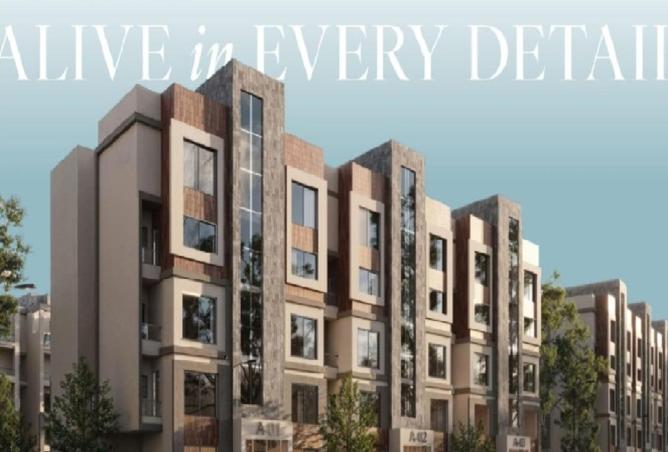 59001123 - Property Image 3