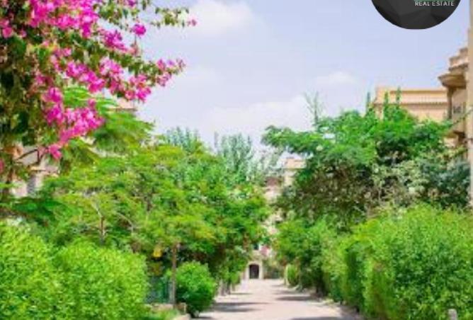 62158861 - صورة العقار 3