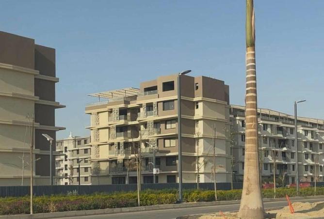 68529217 - صورة العقار 3