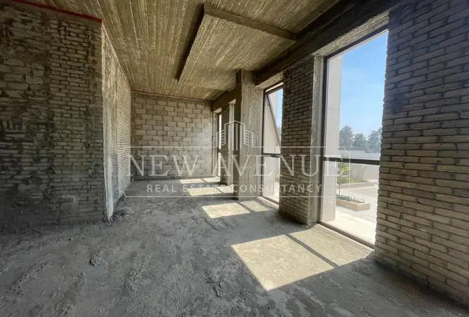 113247158 - Property Image 3