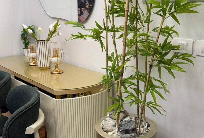 8635863 - صورة العقار 2