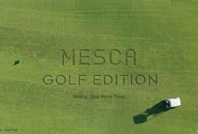 67993475 - الصورة الرئيسية للعقار