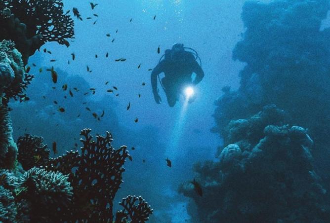 67993475 - صورة العقار 2