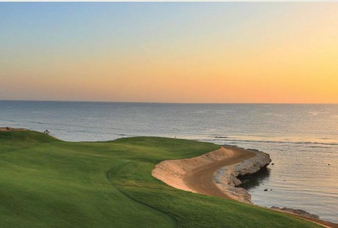 67993475 - صورة العقار 3