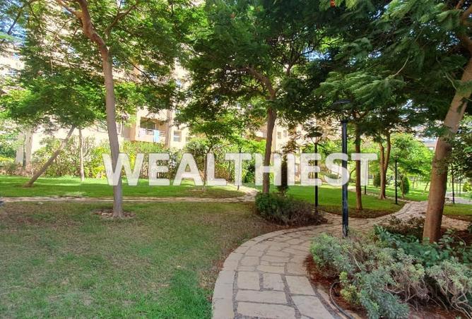 53732229 - الصورة الرئيسية للعقار