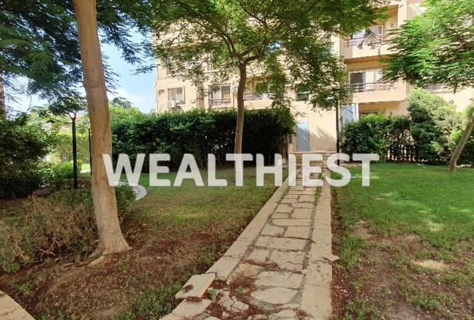 53732229 - صورة العقار 3