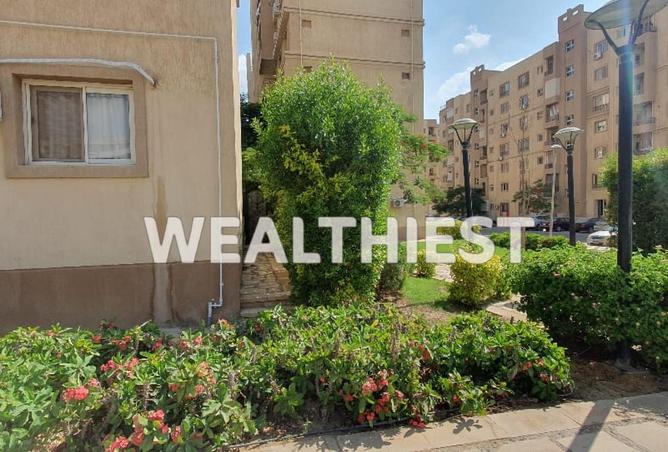 53732229 - صورة العقار 2