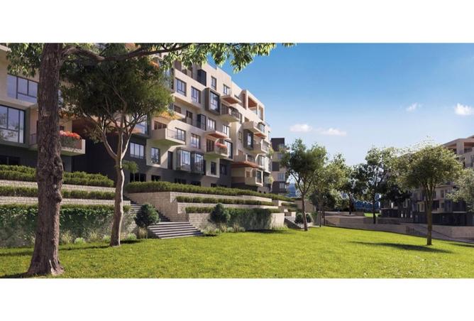 8683315 - Property Image 3