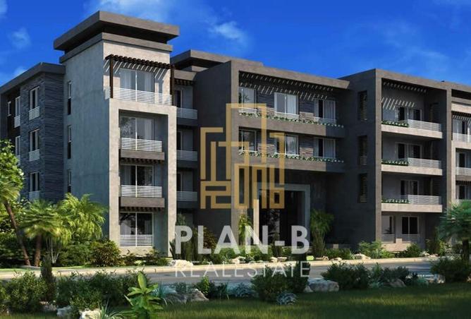 81312387 - Property Image 3