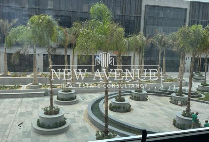 54487231 - Property Image 3