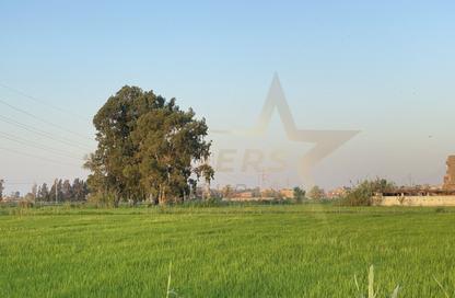 Land - Studio for sale in Khorshid El Qeblia - Hay Sharq - Alexandria