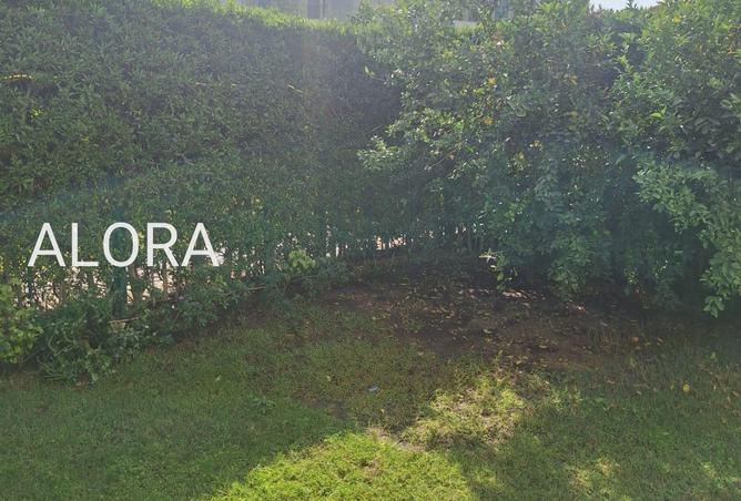 8672552 - Property Image 3