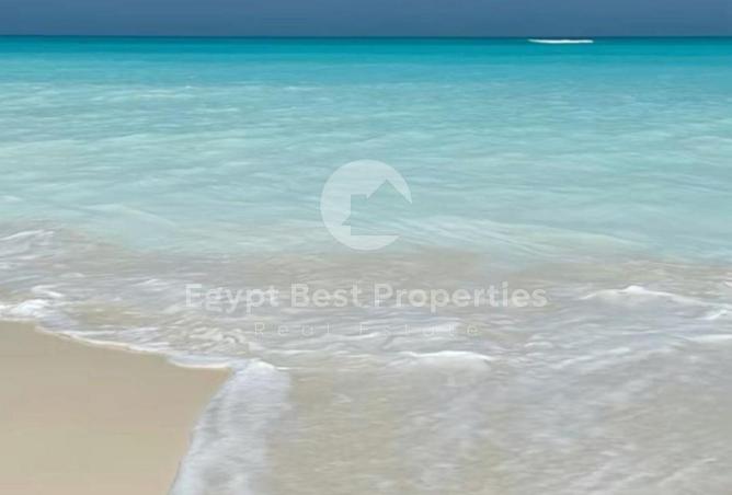 101781850 - الصورة الرئيسية للعقار