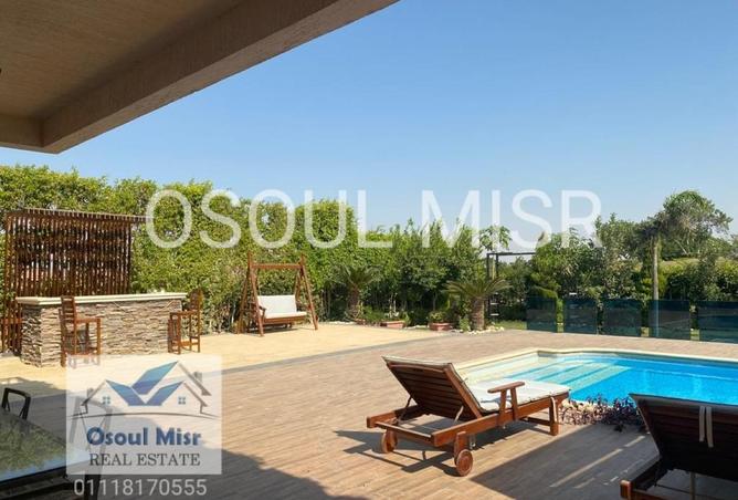 8620874 - Property Image 3