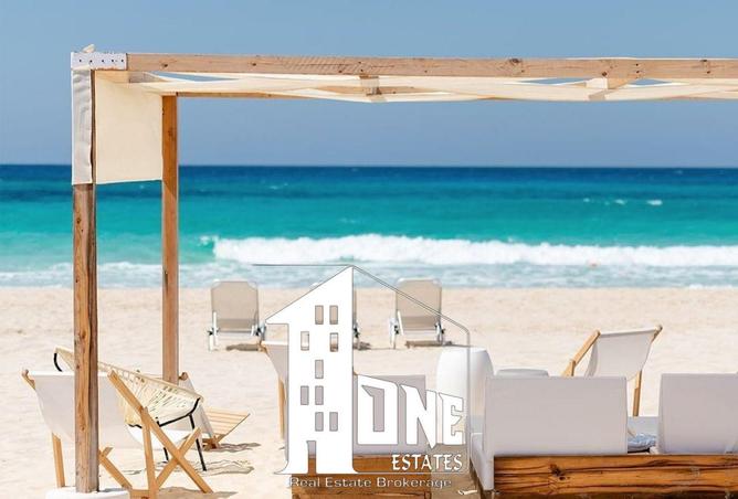 8535605 - Property Image 3