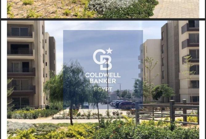 54748981 - Property Image 3