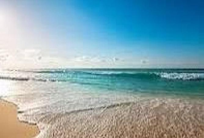 66424888 - صورة العقار 3