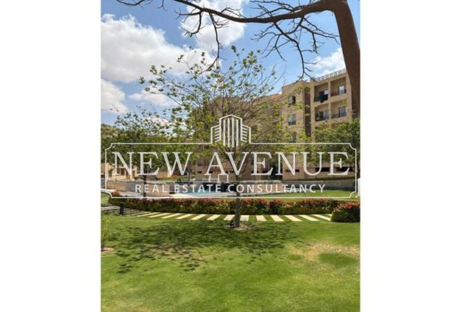 65909371 - Property Image 2