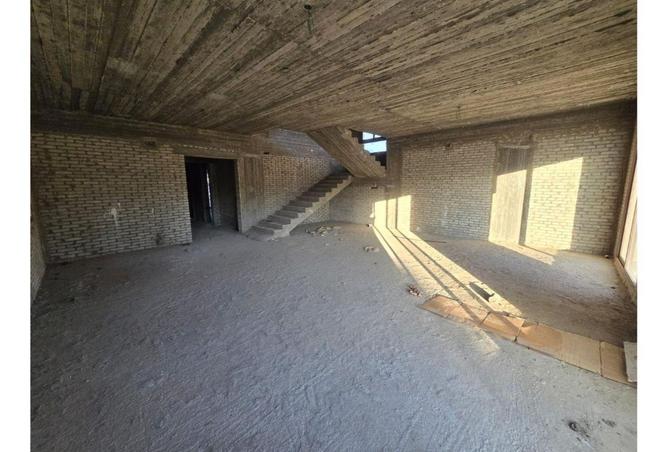 71656171 - Property Image 3