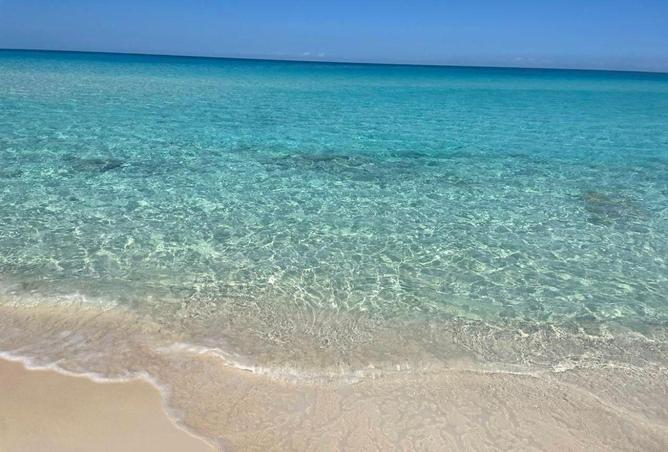 57491930 - صورة العقار 3