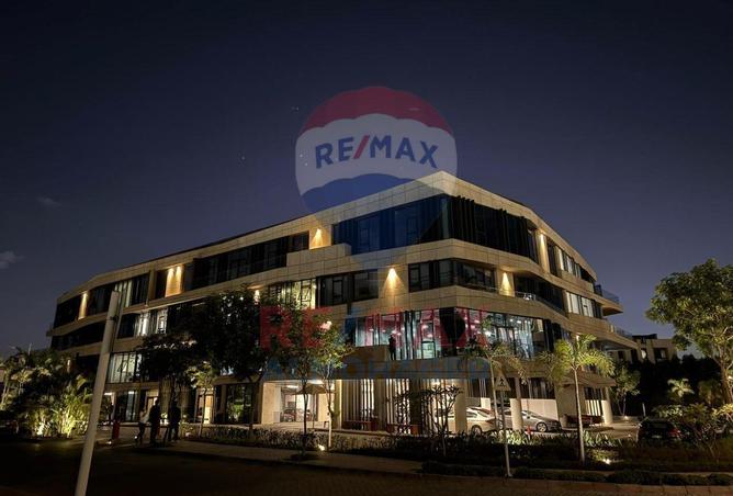 8607738 - Property Image 3